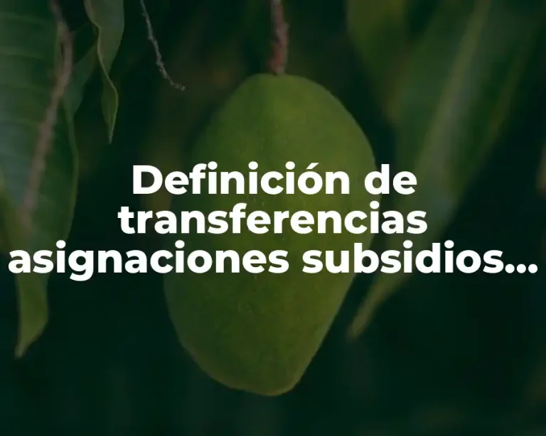 Definición de transferencias asignaciones subsidios y otras ayudas