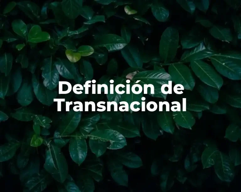 Definición de Transnacional