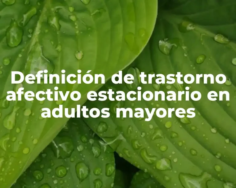 Definición de trastorno afectivo estacionario en adultos mayores