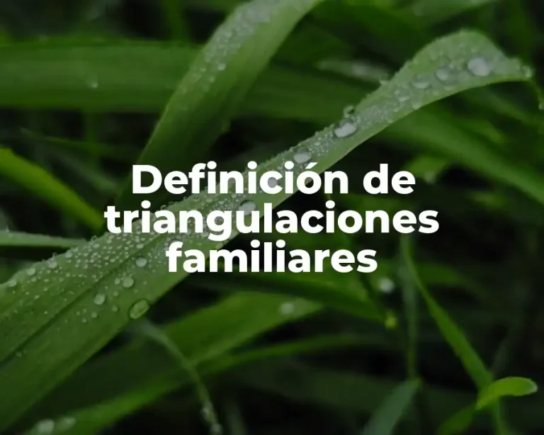Definición de triangulaciones familiares