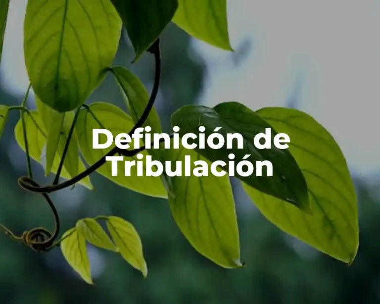 Definición de Tribulación