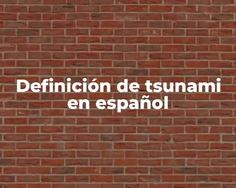 Definición de tsunami en español