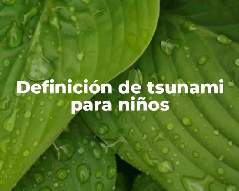 Definición de tsunami para niños