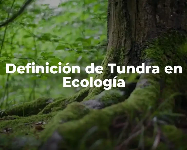 Definición de Tundra en Ecología
