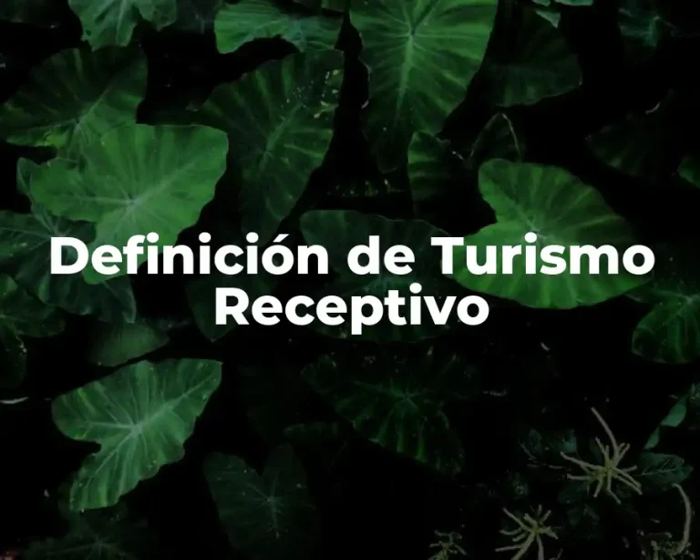 Definición de Turismo Receptivo