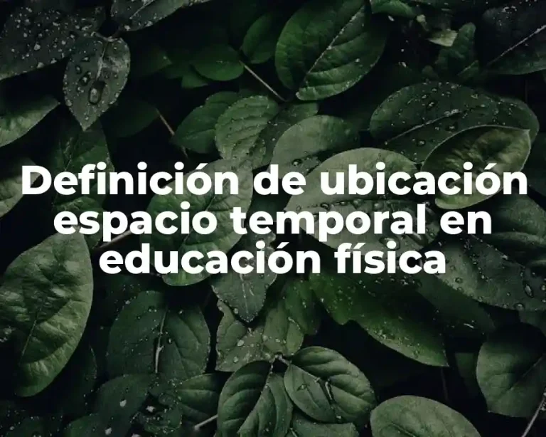 Definición de ubicación espacio temporal en educación física