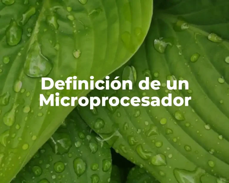 Definición de un Microprocesador
