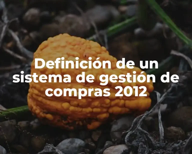 Definición de un sistema de gestión de compras 2012