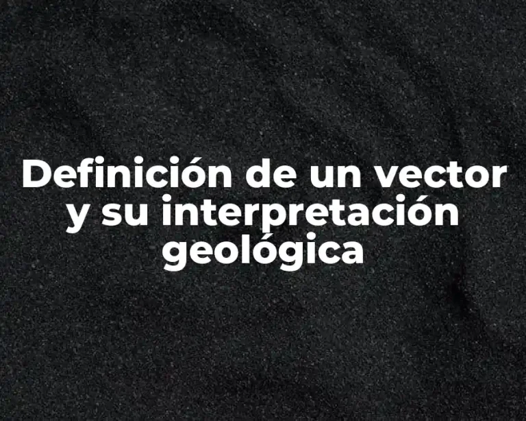 Definición de un vector y su interpretación geológica