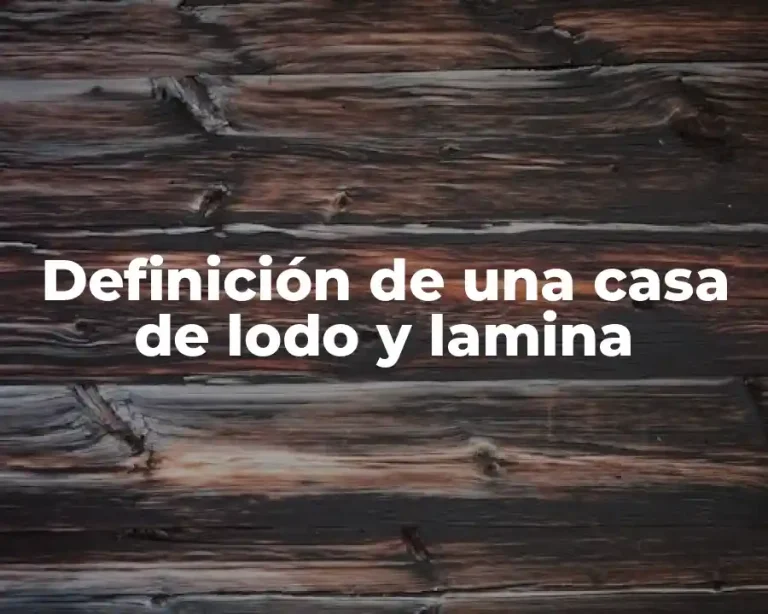Definición de una casa de lodo y lamina