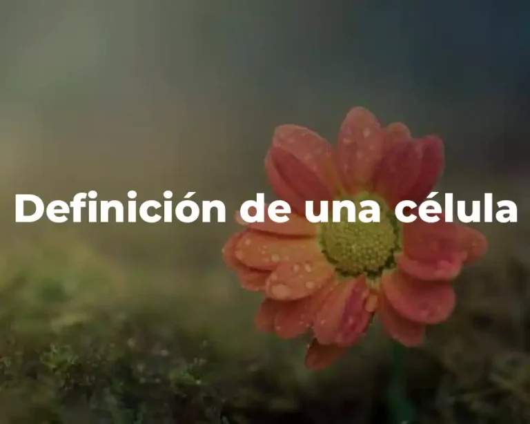 Definición de una célula