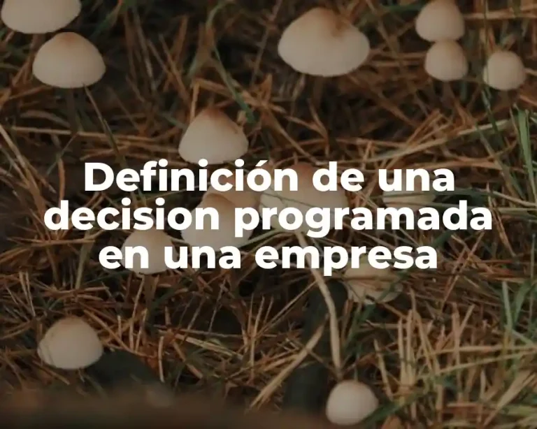 Definición de una decision programada en una empresa