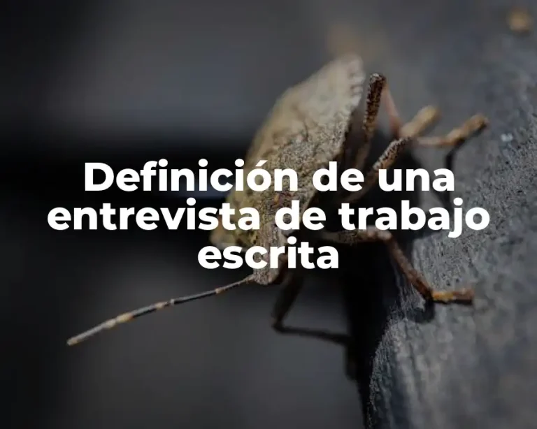 Definición de una entrevista de trabajo escrita