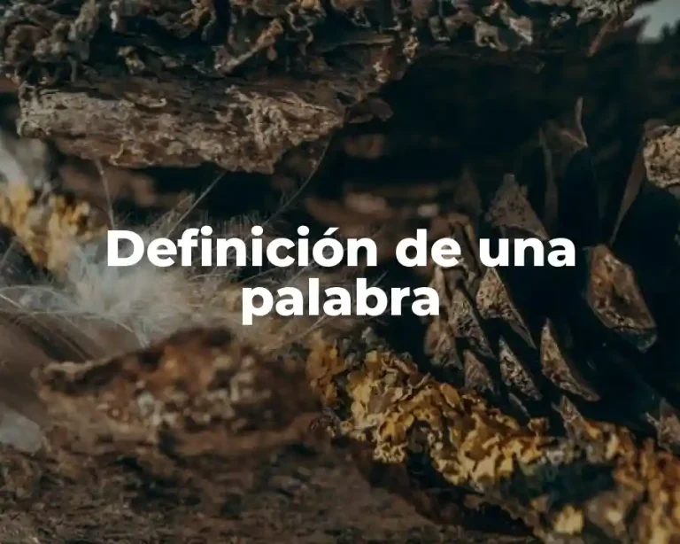 Definición de una palabra