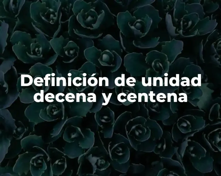 Definición de unidad decena y centena