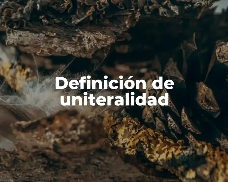 Definición de uniteralidad