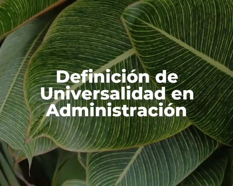 Definición de Universalidad en Administración
