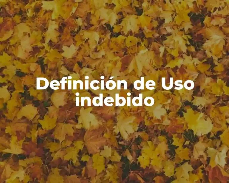 Definición de Uso indebido