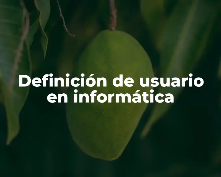 Definición de usuario en informática