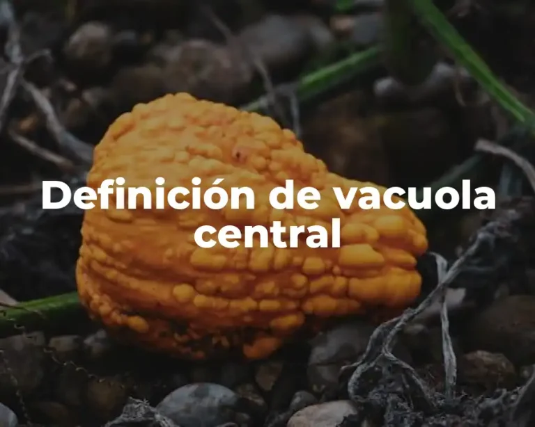 Definición de vacuola central