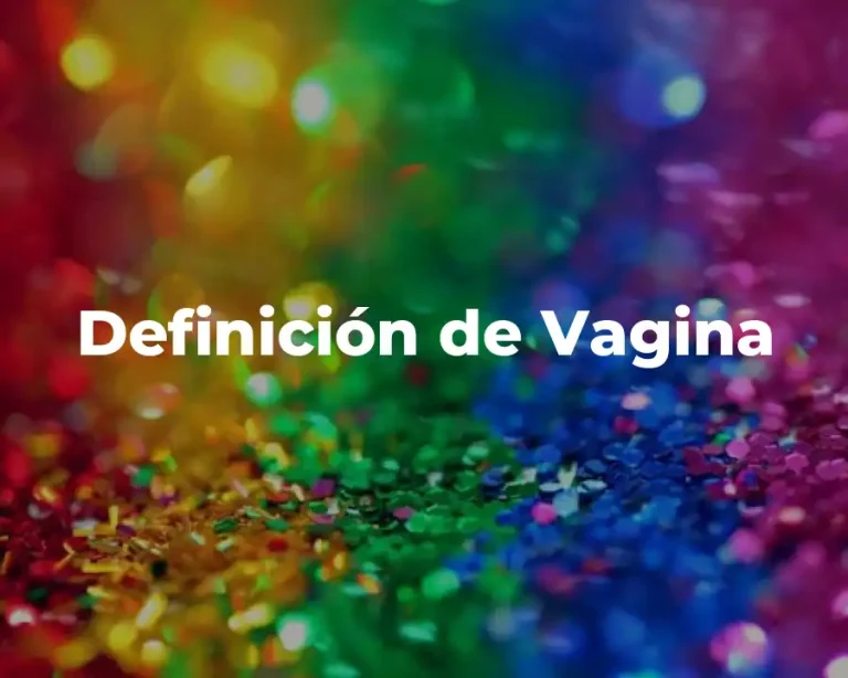 Definición de Vagina