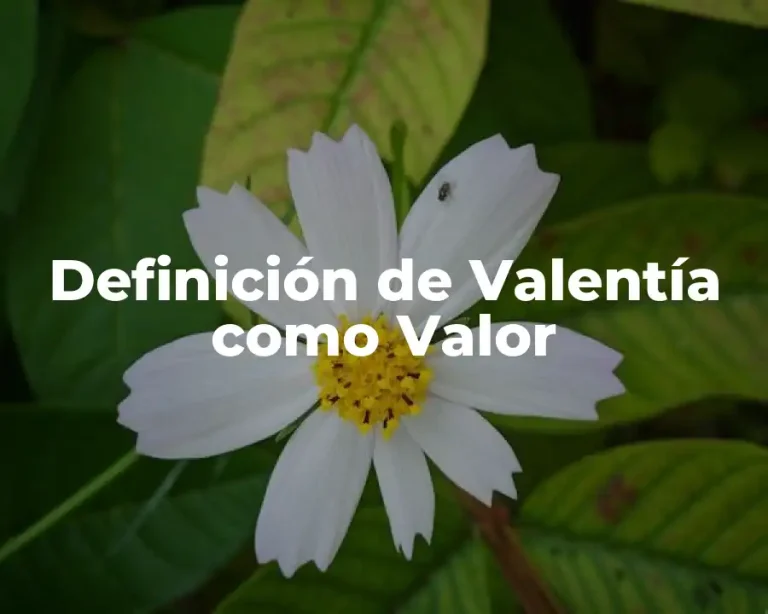Definición de Valentía como Valor