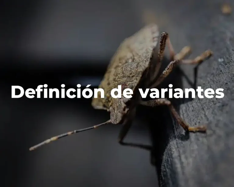 Definición de variantes