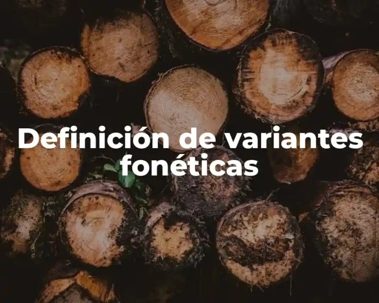 Definición de variantes fonéticas