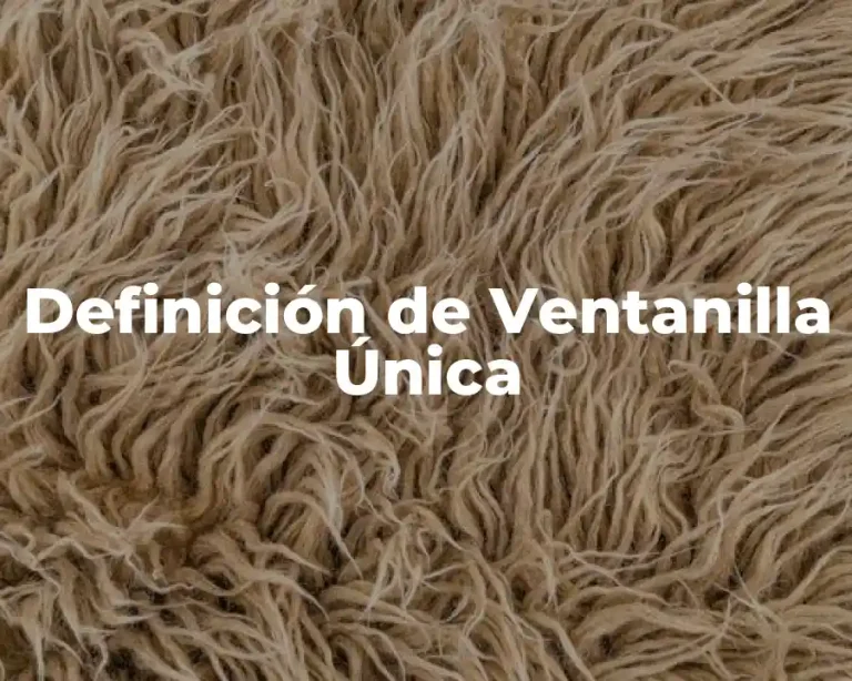 Definición de Ventanilla Única