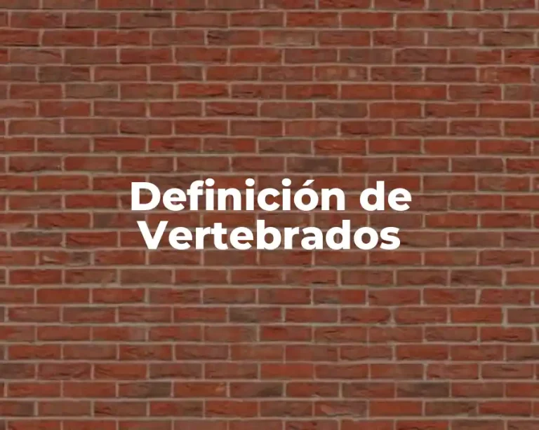 Definición de Vertebrados