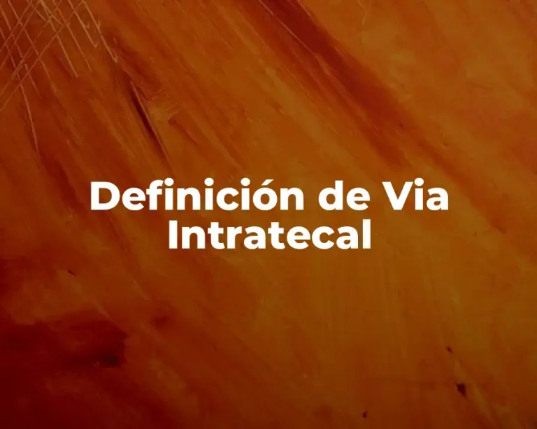 Definición de Via Intratecal