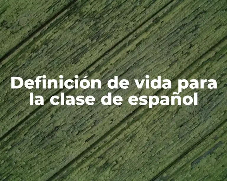 Definición de vida para la clase de español