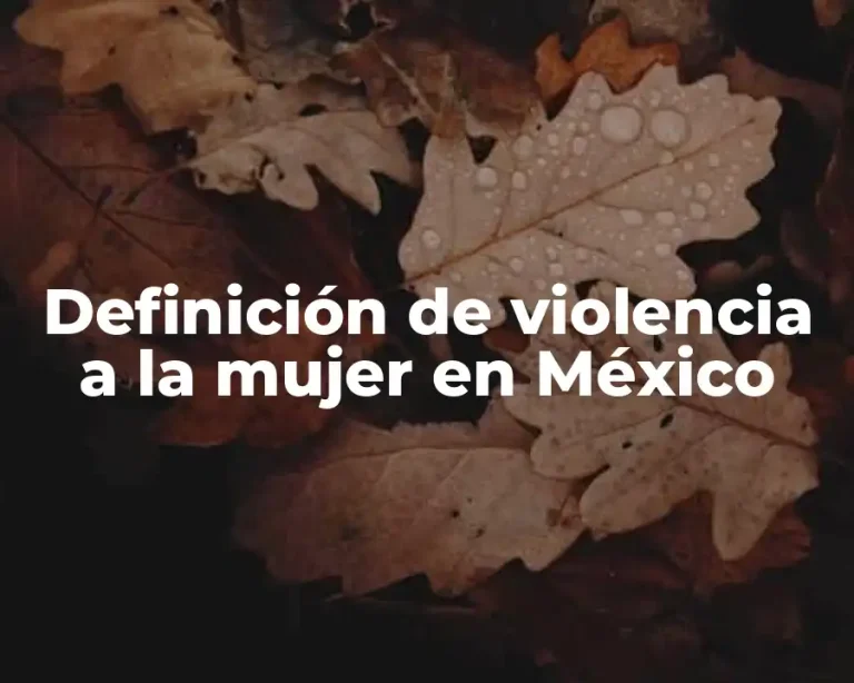 Definición de violencia a la mujer en México