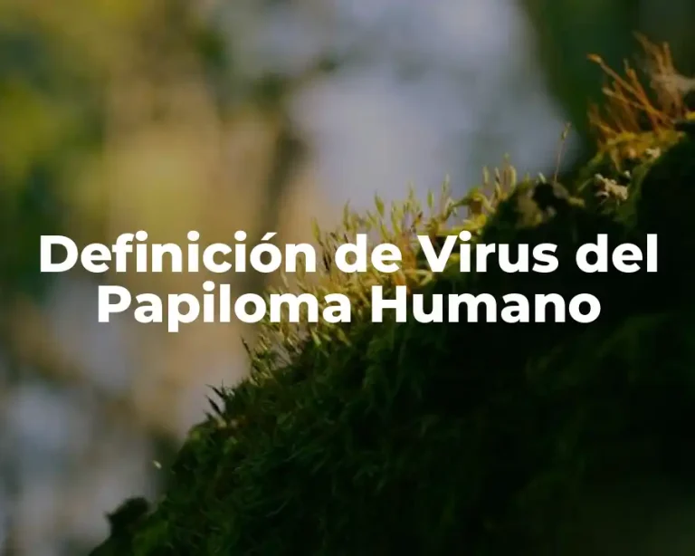 Definición de Virus del Papiloma Humano