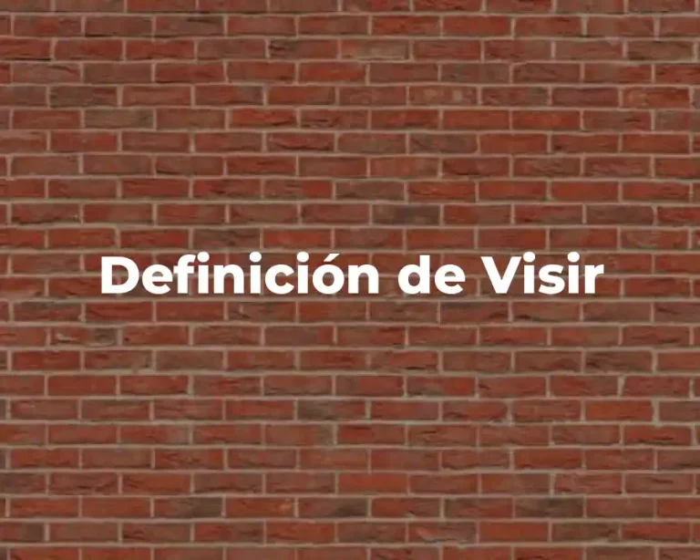 Definición de Visir