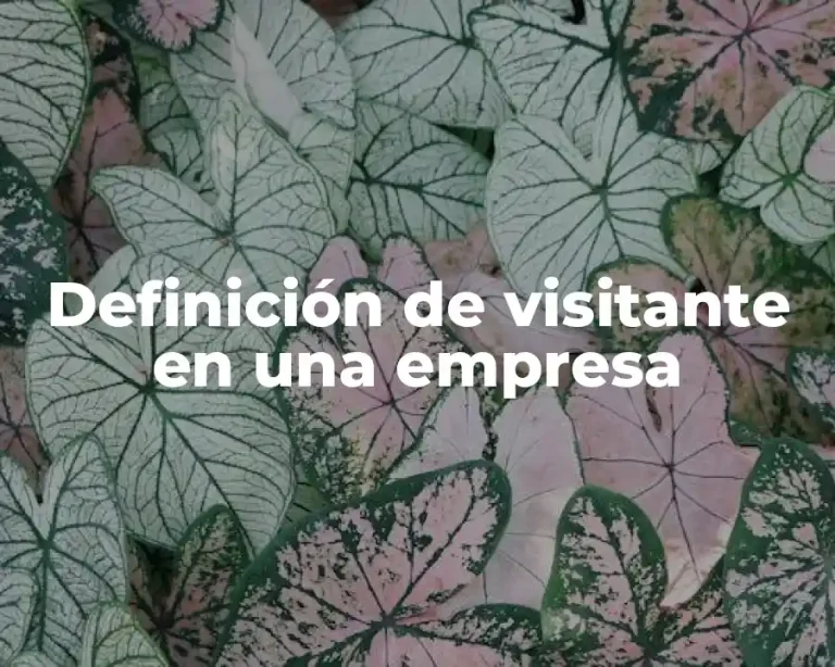 Definición de visitante en una empresa