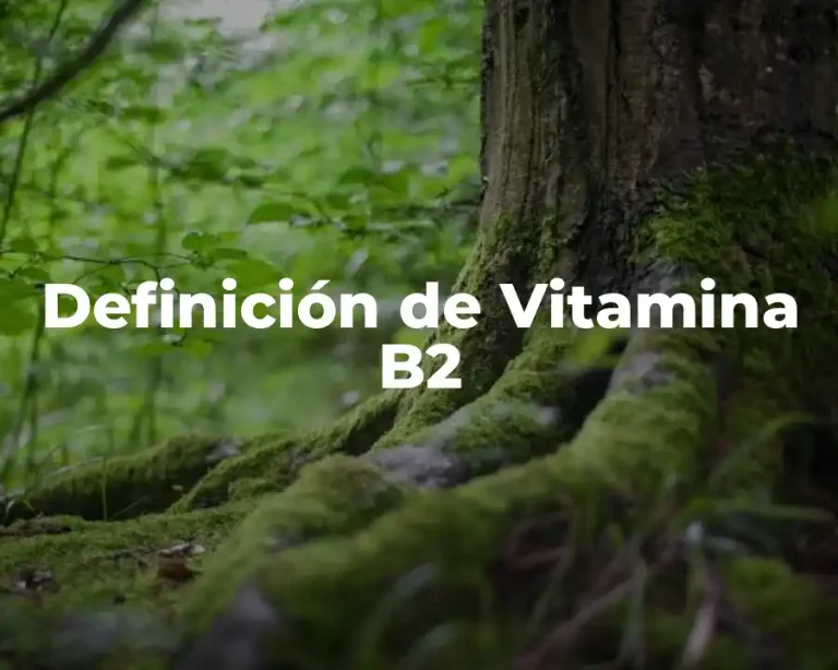 Definición de Vitamina B2
