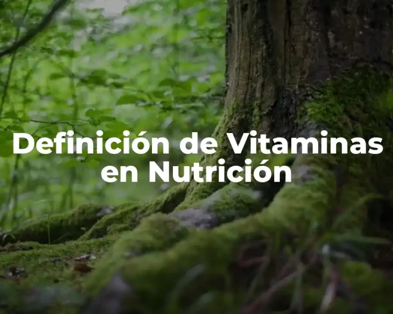 Definición de Vitaminas en Nutrición