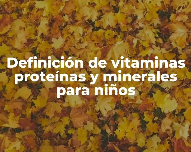 Definición de vitaminas proteínas y minerales para niños