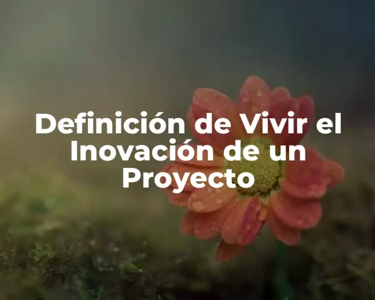 Definición de Vivir el Inovación de un Proyecto