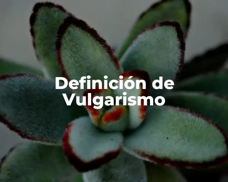 Definición de Vulgarismo