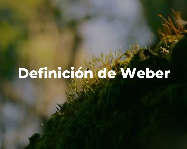 Definición de Weber