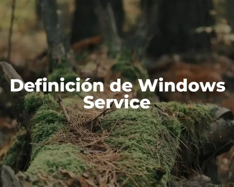 Definición de Windows Service