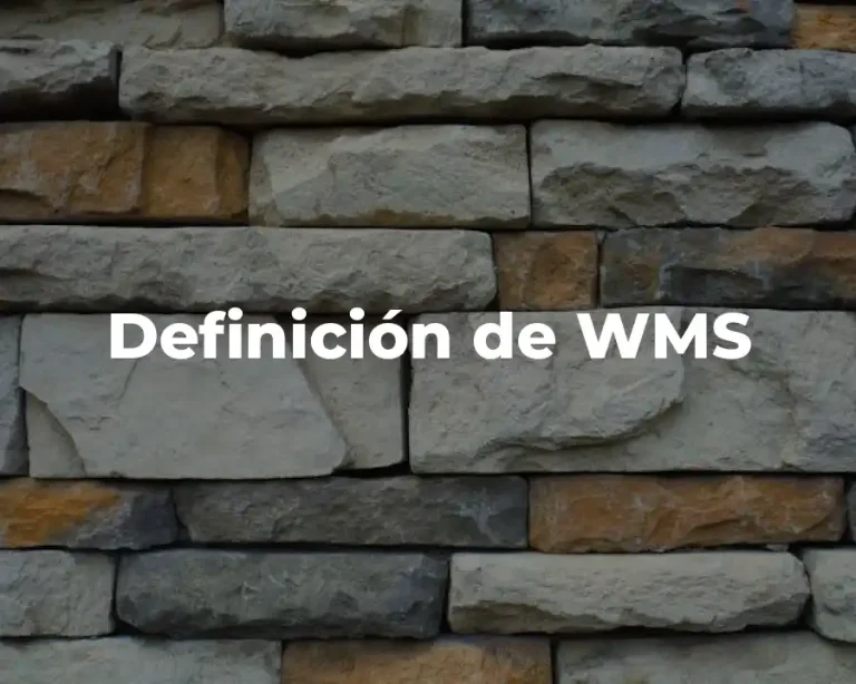 Definición de WMS