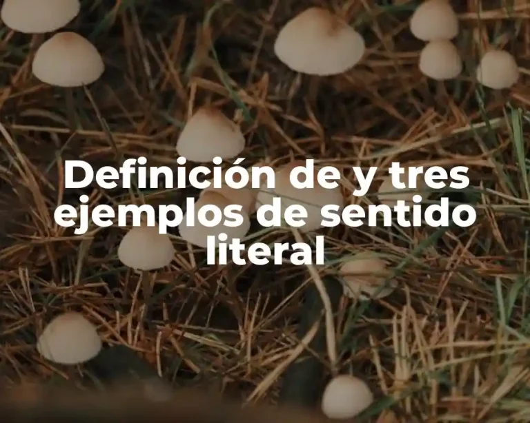 Definición de y tres ejemplos de sentido literal