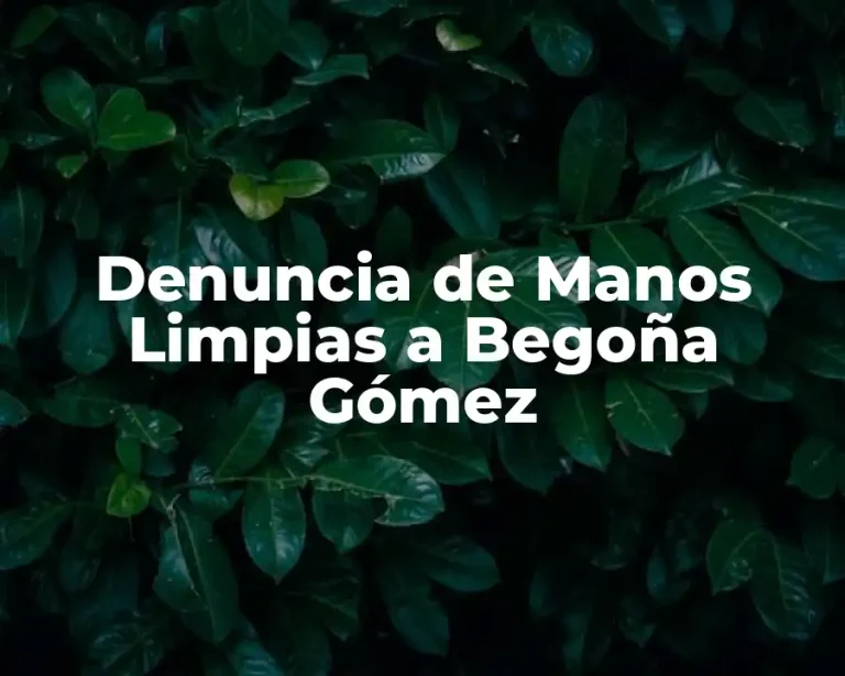 Denuncia de Manos Limpias a Begoña Gómez