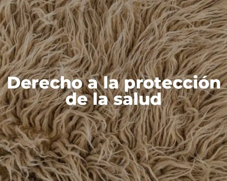Derecho a la protección de la salud