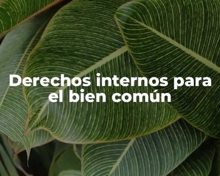Derechos internos para el bien común