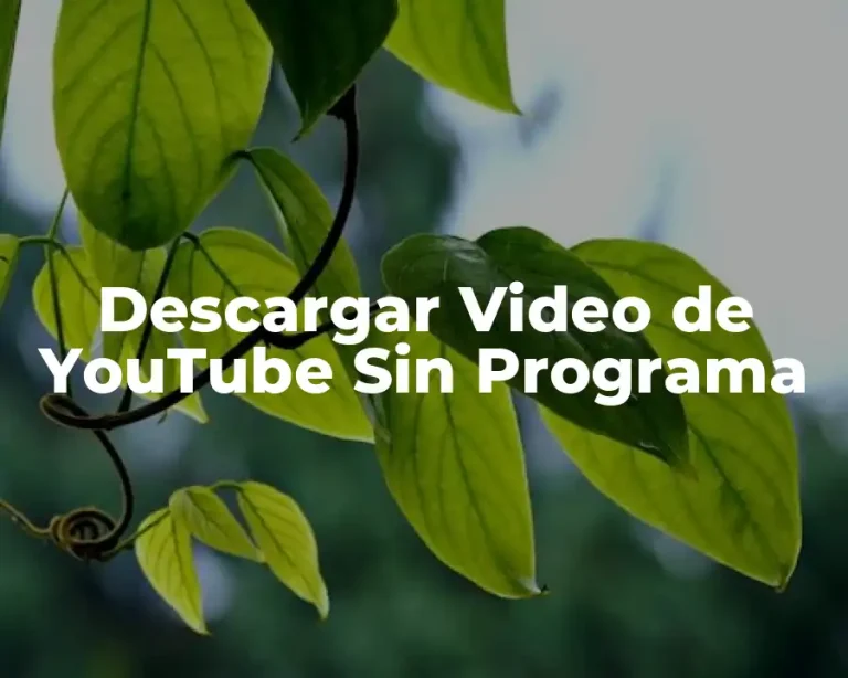 Descargar Video de YouTube Sin Programa