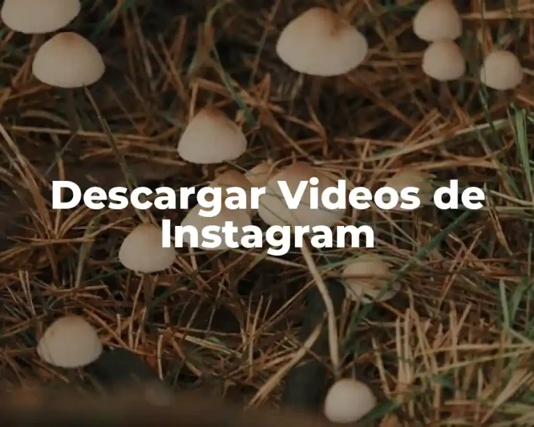 Descargar Videos de Instagram